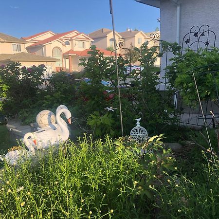 Hamptons Rose Garden Family! Hotel YYC Exterior foto
